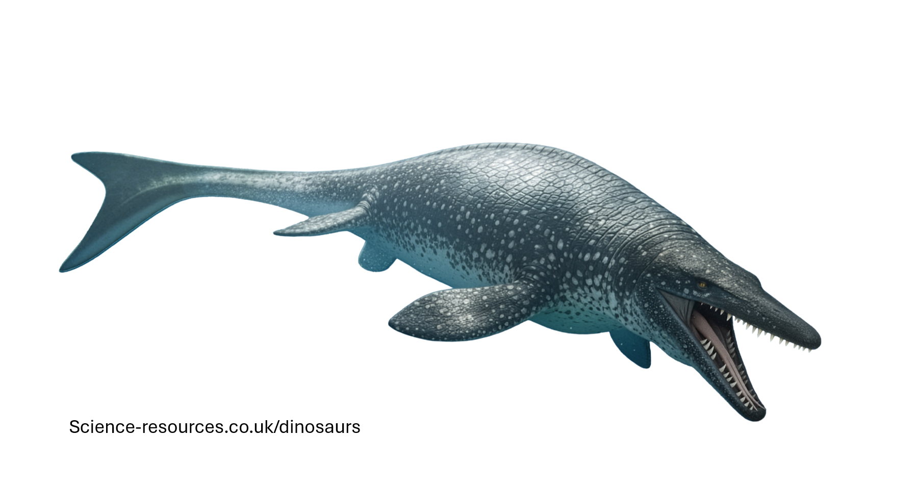A realistic rendering of an Mosasaurus.