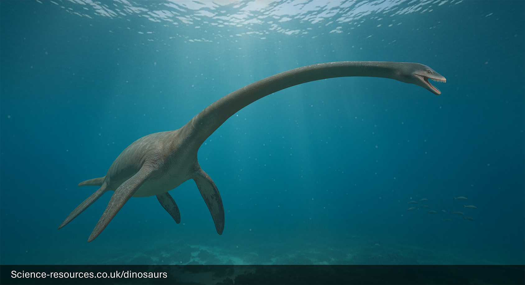 A photorealistic computer-generated image of the long-necked marine reptile, Elasmosaurus, swimming in deep blue ocean water. The creature has a sleek, dark-gray body, four large paddle-like flippers, and an exceptionally long, thin neck leading to a small head with its mouth slightly open, showing tiny teeth. The light is dim, suggesting it is a distance from the surface.